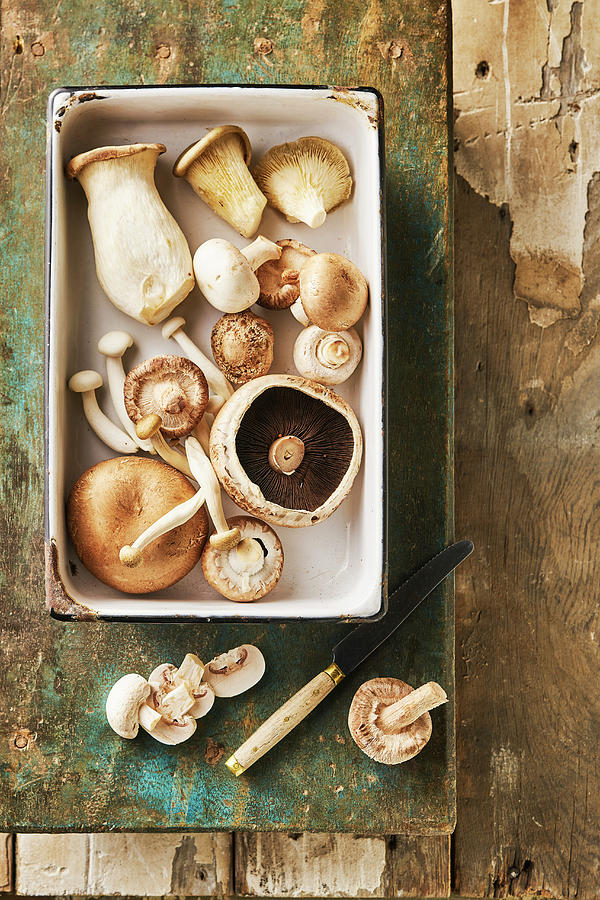 Still Life Of Mushrooms, Sjitake, Chestnut Mushroom, Oyster Mushroom, Portobello Photograph by Arjan Smalen Photography