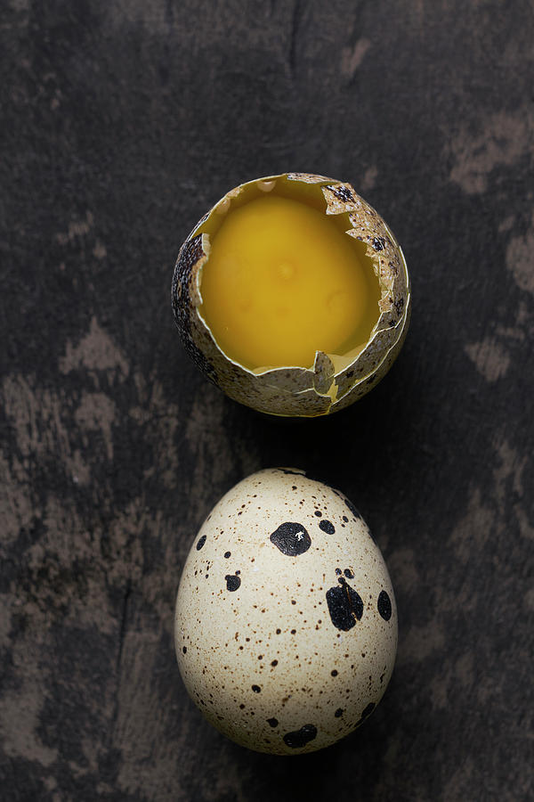 Still Life Of Quail Eggs Photograph by Arjan Smalen Photography