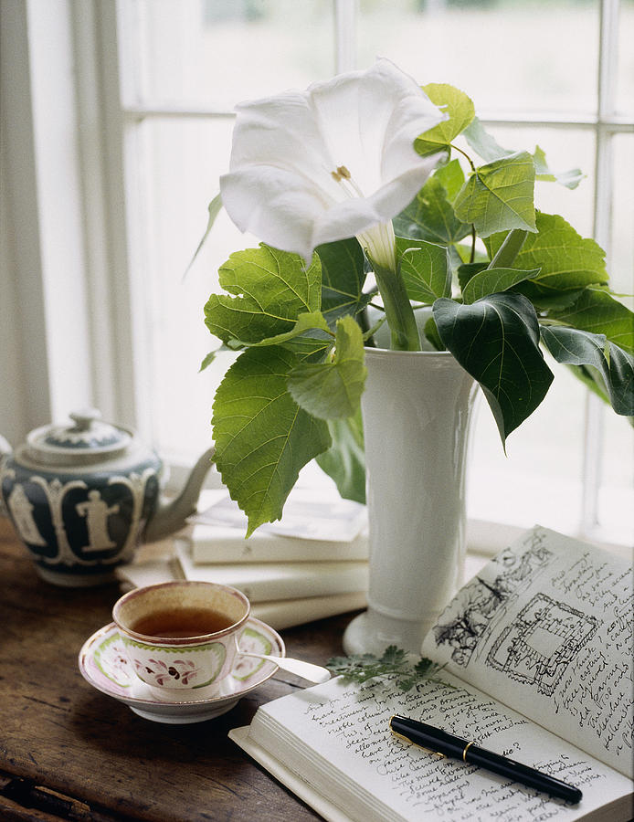 Still Life Photograph by Richard Felber Still Life Photograph by Richard Felber
