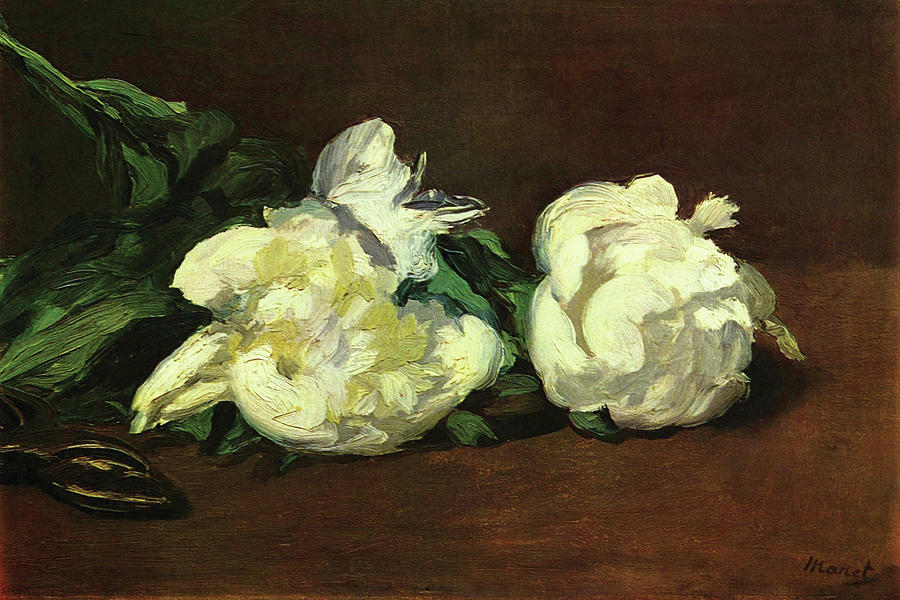 Still life, White Peony Painting by Edouard Manet