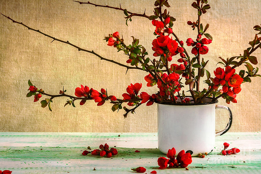 Love Photograph - Still Life With A Bouquet Of Barberry by Yotka Love Photograph - Still Life With A Bouquet Of Barberry by Yotka