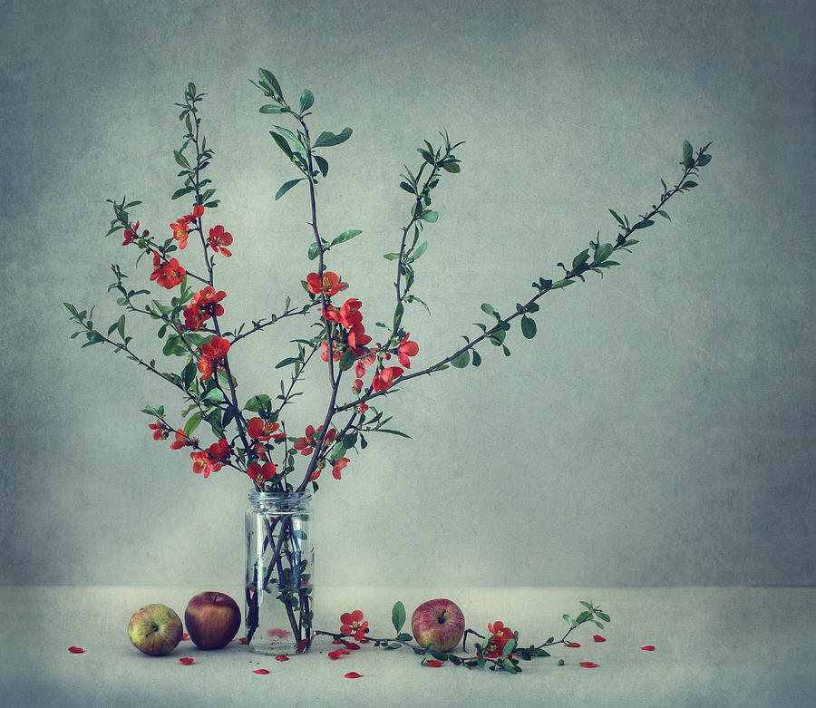 Still Life With A Japanese Quince Photograph by Dimitar Lazarov - Dim