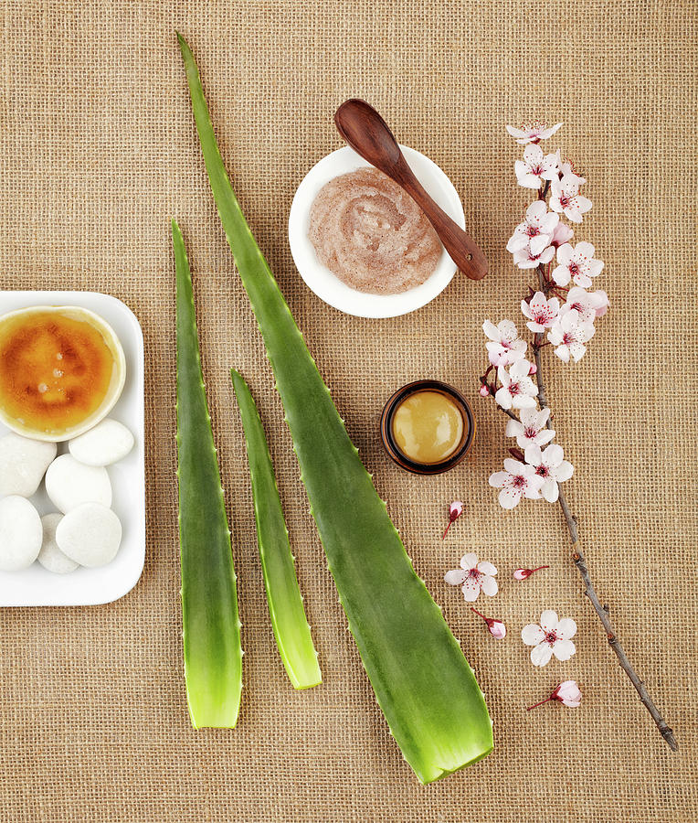 Still Life With Aloe Vera, Honey, Sugar Photograph by Gspictures
