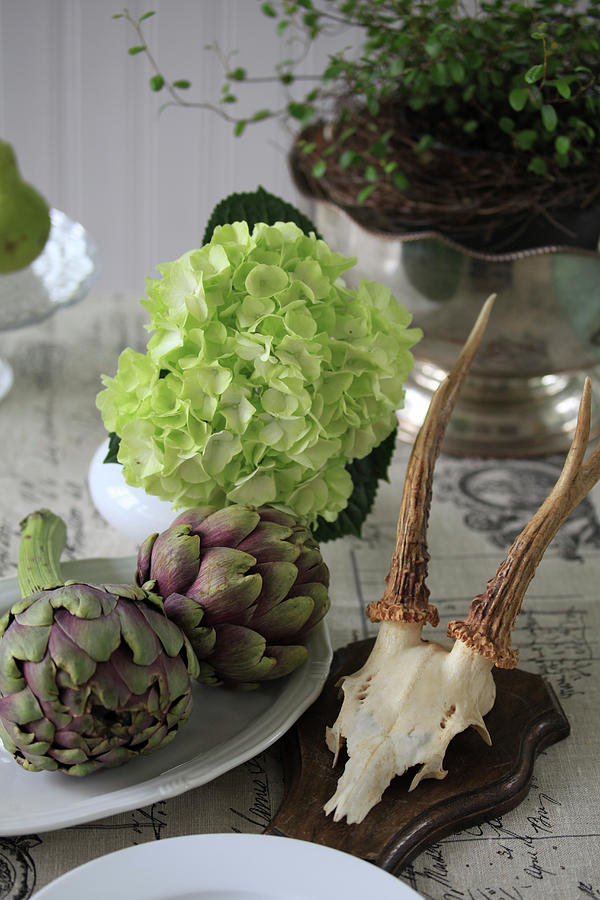 Still Life With Artichokes, Hydrangea Flowers, And Antlers Photograph by Sonja Zelano