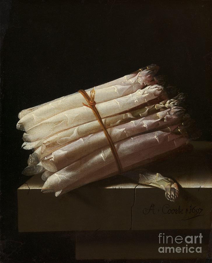 Asparagus Painting - Still Life With Asparagus, 1697 by Adrian Coorte