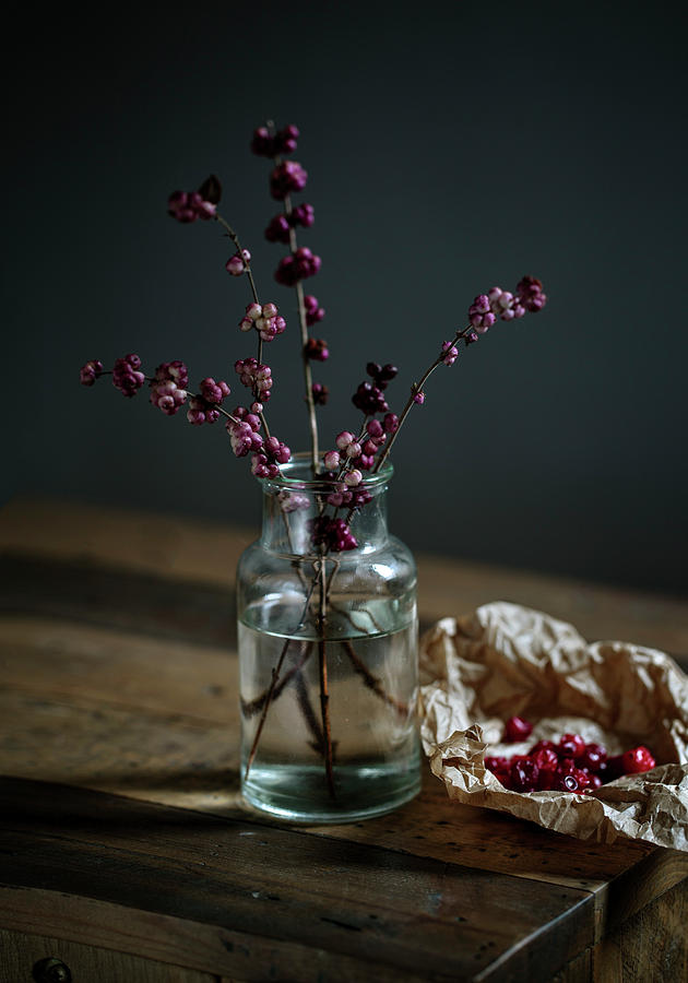 Still Life With Berries Photograph
