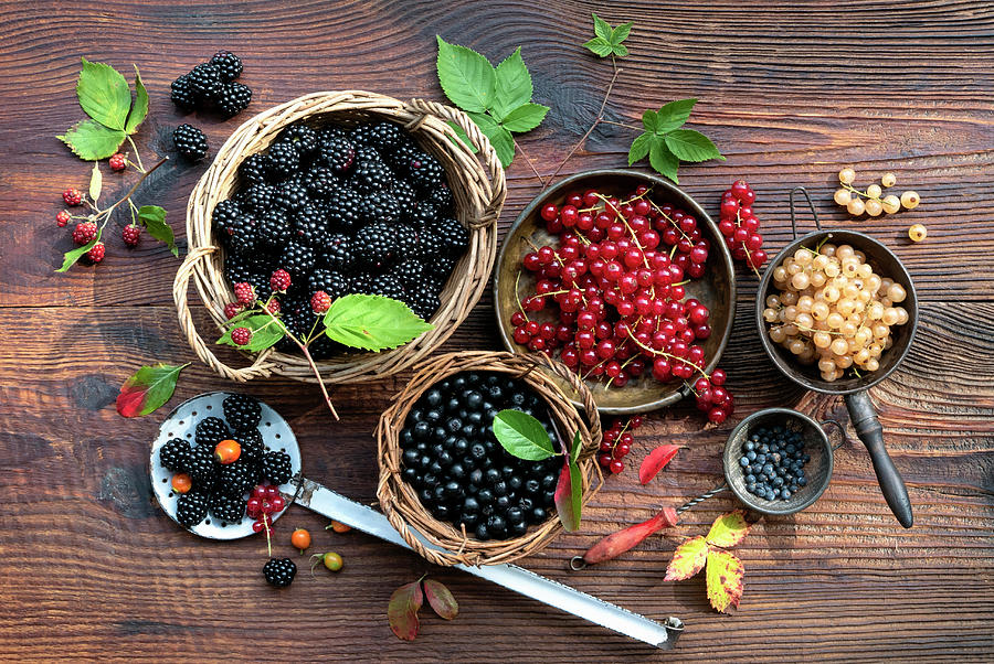 Still Life With Blackberries, Blueberries And Currants Photograph by Magdalena & Krzysztof Duklas