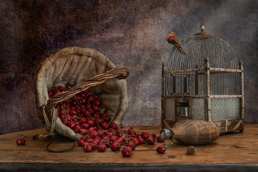 Still Life With Cherries Photograph by Christian Marcel