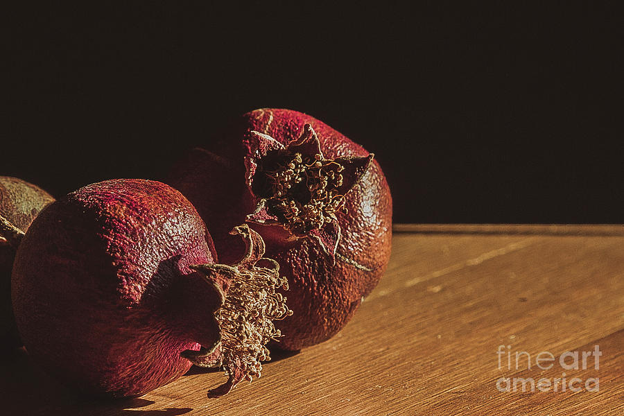 Still Life With Couple Of Dry Pomegranates Photograph