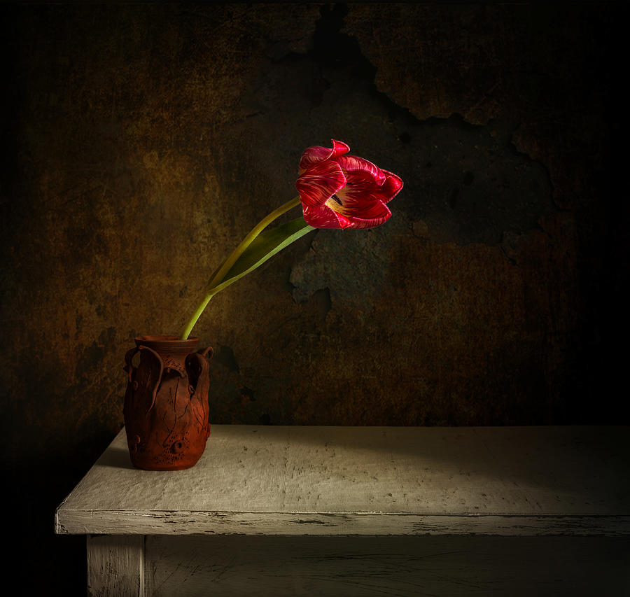 Still Life With Flower Photograph by Mykhailo Sherman
