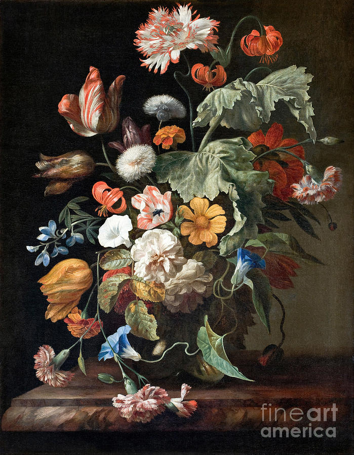 Still-life With Flowers. Artist Ruysch Drawing by Heritage Images