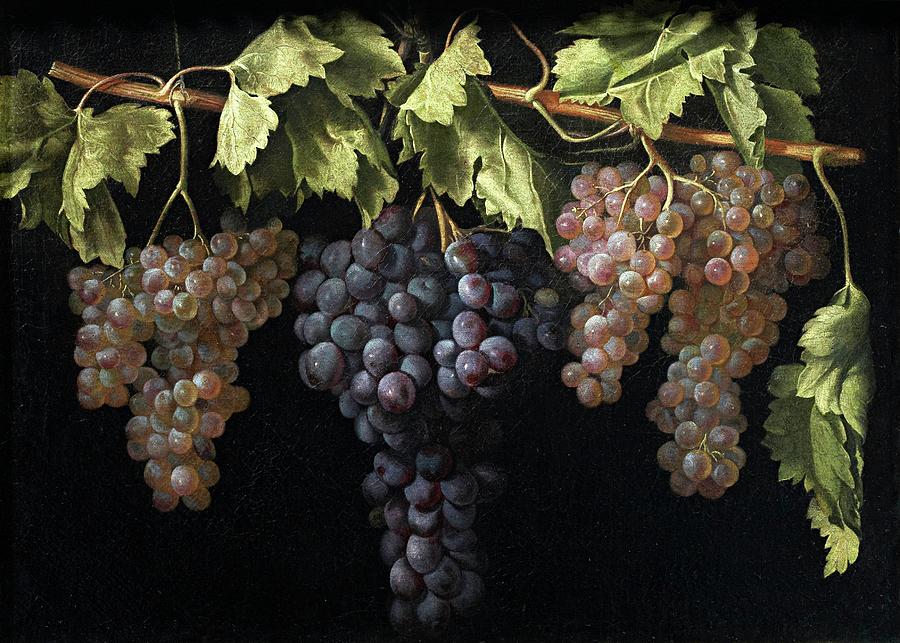 Still Life with Four Bunches of Grapes, ca. 1630, Spanish Schoo... Painting by Juan Fernandez -17th cent -
