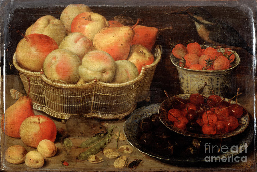 Still Life With Fruit, Late 16thearly Drawing by Print Collector
