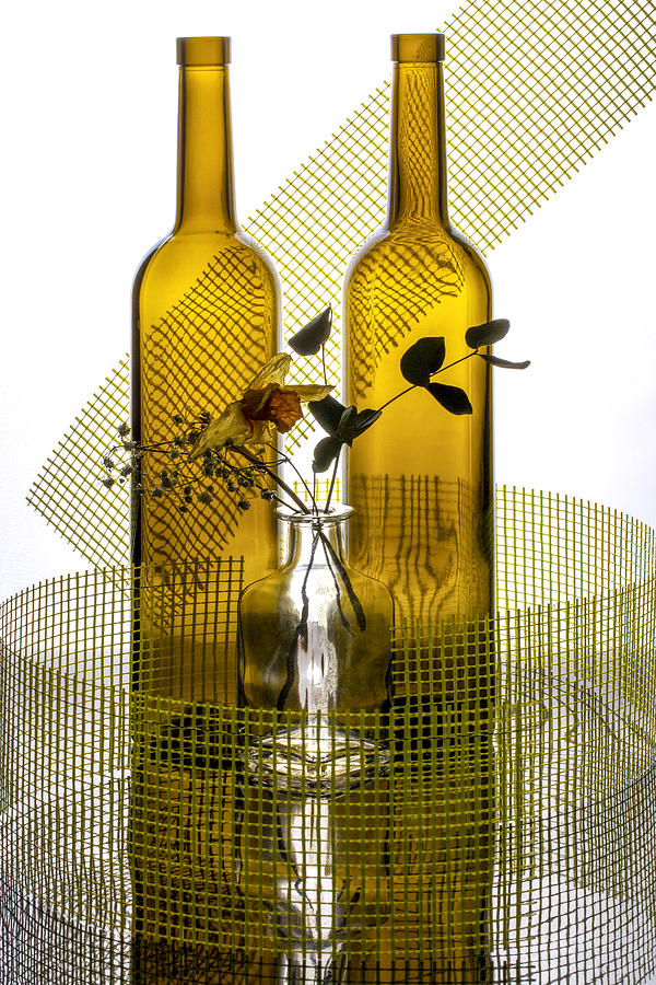 Still Life With Glass Bottles, Flowers And Yellow Mesh Photograph by Brig Barkow