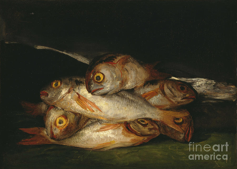 Still Life With Golden Bream Drawing by Heritage Images