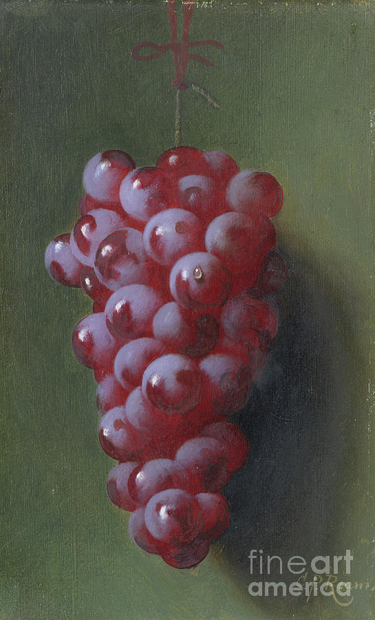 Still Life With Grapes. Creator Drawing by Heritage Images