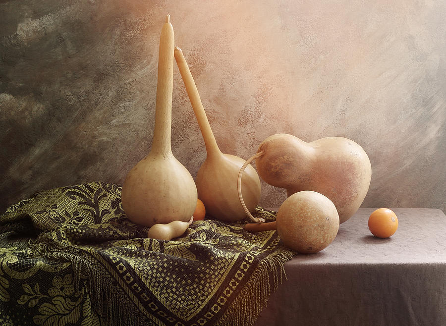 Still Life With Medicinal Pumpkins Photograph by Ustinagreen