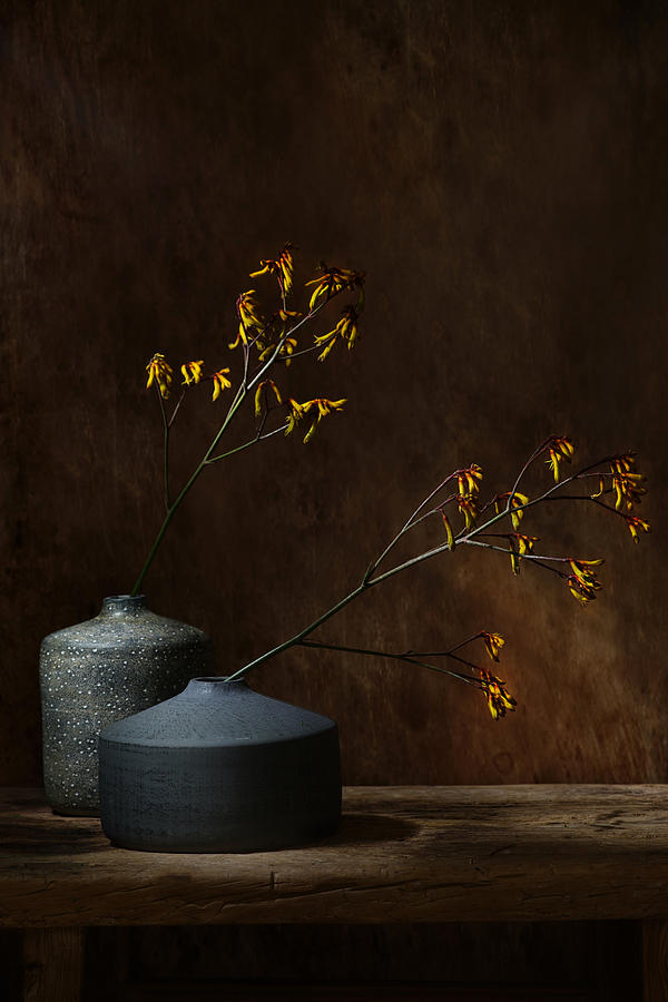 Still Life With Oker Flowers Photograph by Saskia Dingemans