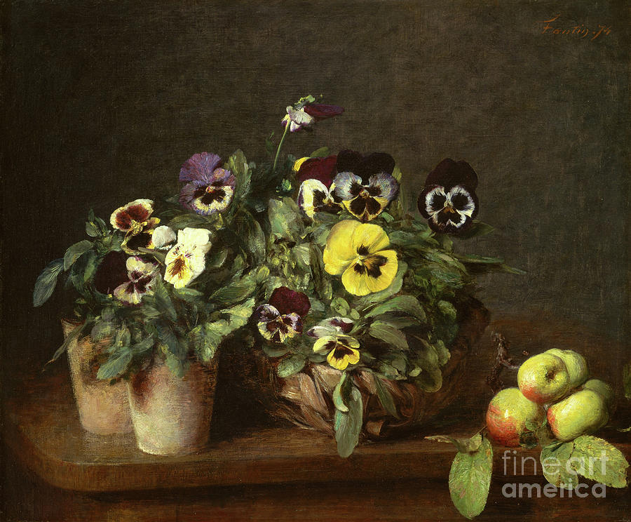 Still Life With Pansies Drawing by Heritage Images