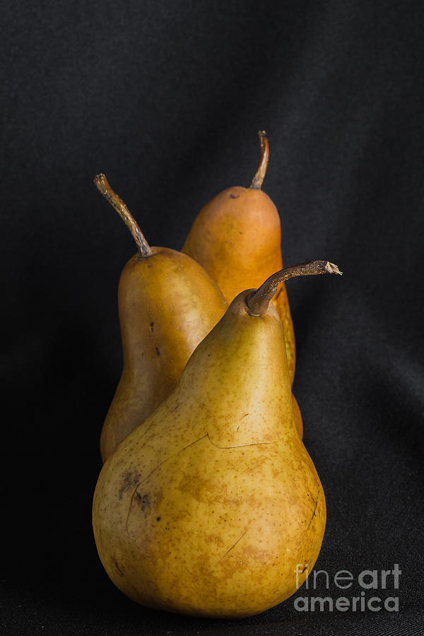 Studio Photograph - Still Life With Pears by Neosiam32896395