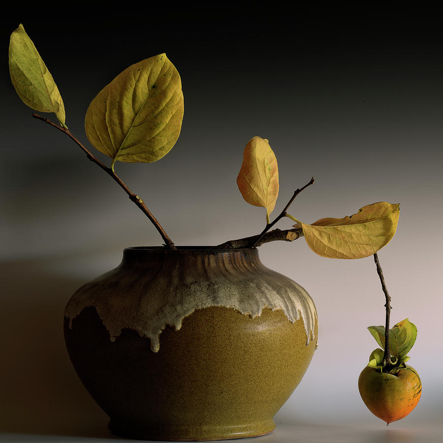 Still Life Photograph - Still Life With Persimmon by Geoffrey Ansel Agrons