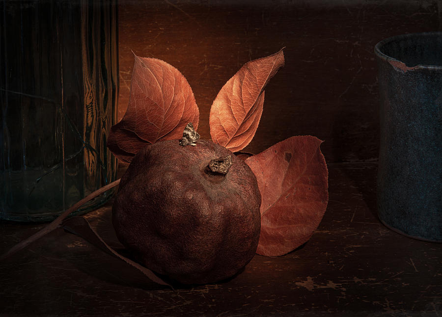 Still Life Photograph - Still Life With Pomegranate by Igor Tokarev