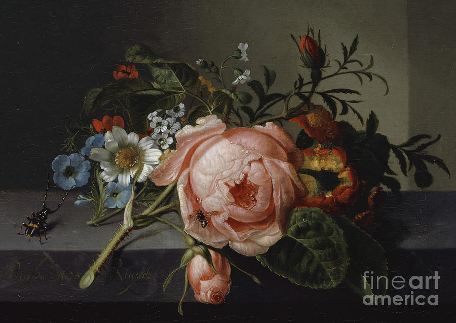 Still Life with Rose Branch, Beetle and Bee, 1741  Painting by Rachel Ruysch