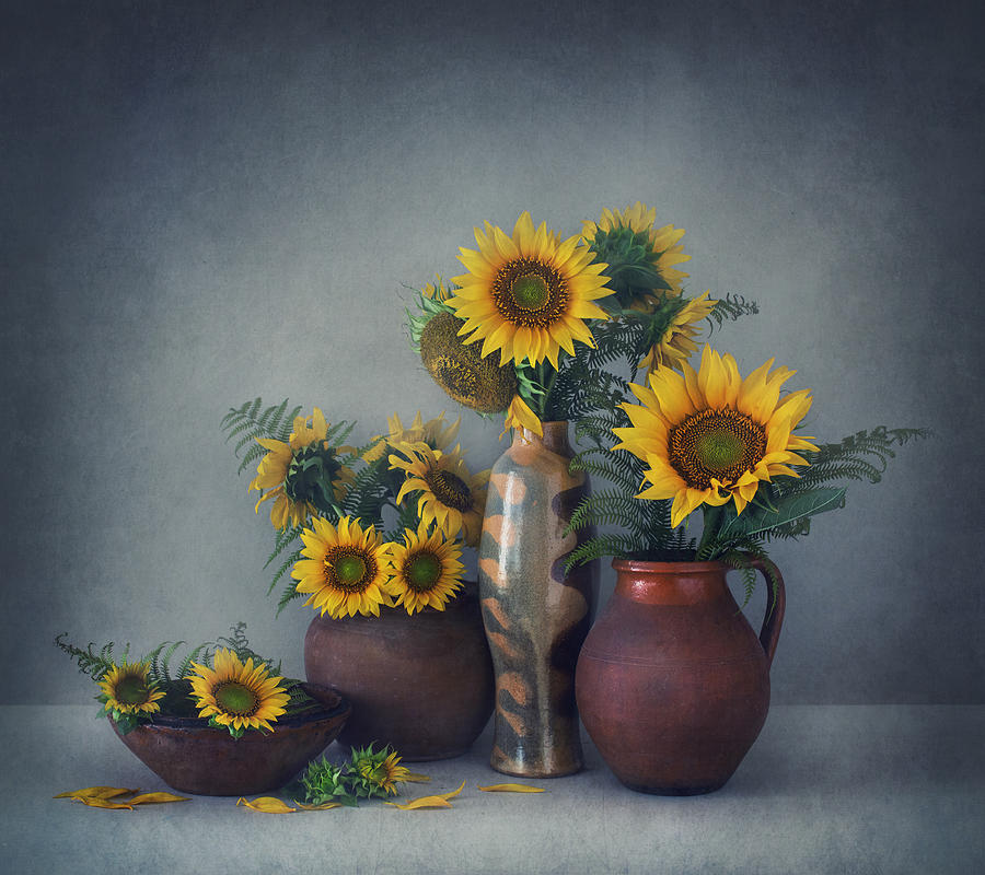 Still Life With Sunflowers Photograph by Dimitar Lazarov - Dim