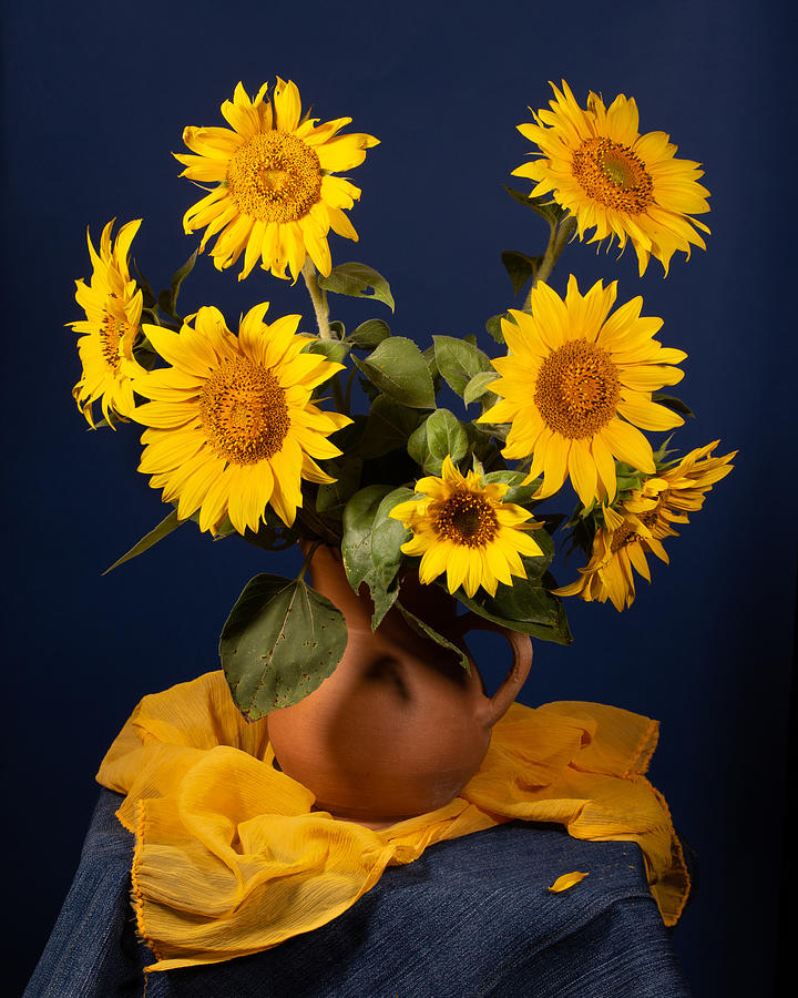 Still Life Photograph - Still Life With Sunflowers by Magnola