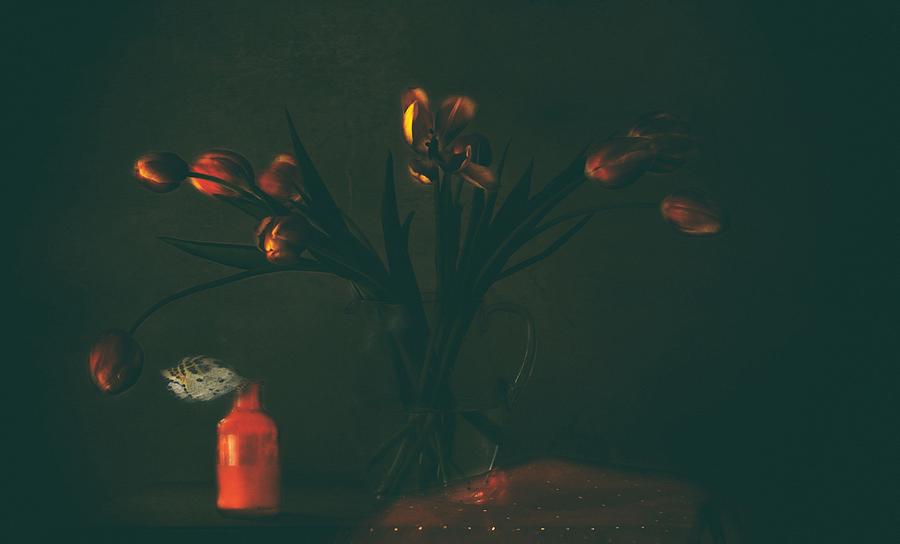 Still Life With Tulips Photograph by Delphine Devos