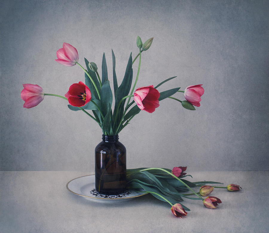 Still Life With Tulips Photograph by Dimitar Lazarov - Dim - Fine Art ...