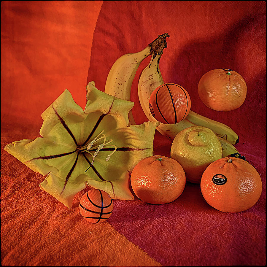 Still life with two basketballs Photograph by Andrei SKY