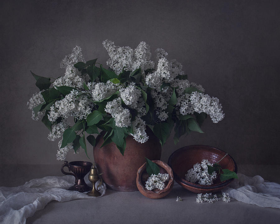 Still Life With White Lilac Photograph by Dimitar Lazarov - Dim
