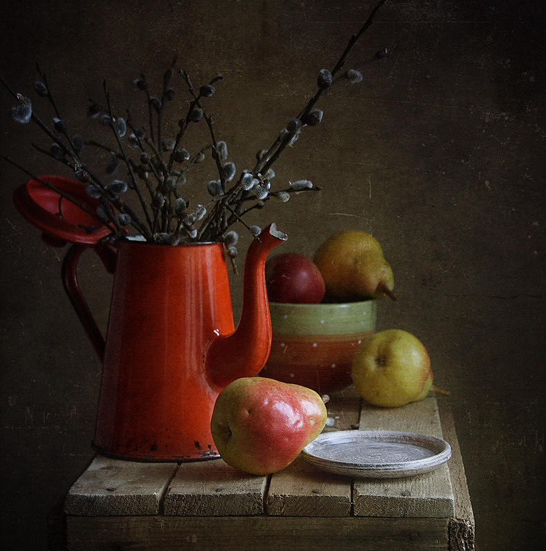 Still Life With Willows Photograph by Masha Sapego
