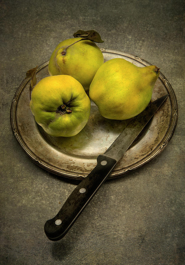 Still life with yellow quinces Photograph by Jaroslaw Blaminsky