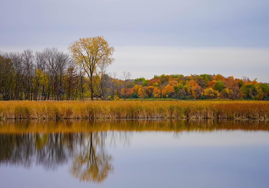 Stillness in Autumn  Photograph by Susan Rydberg