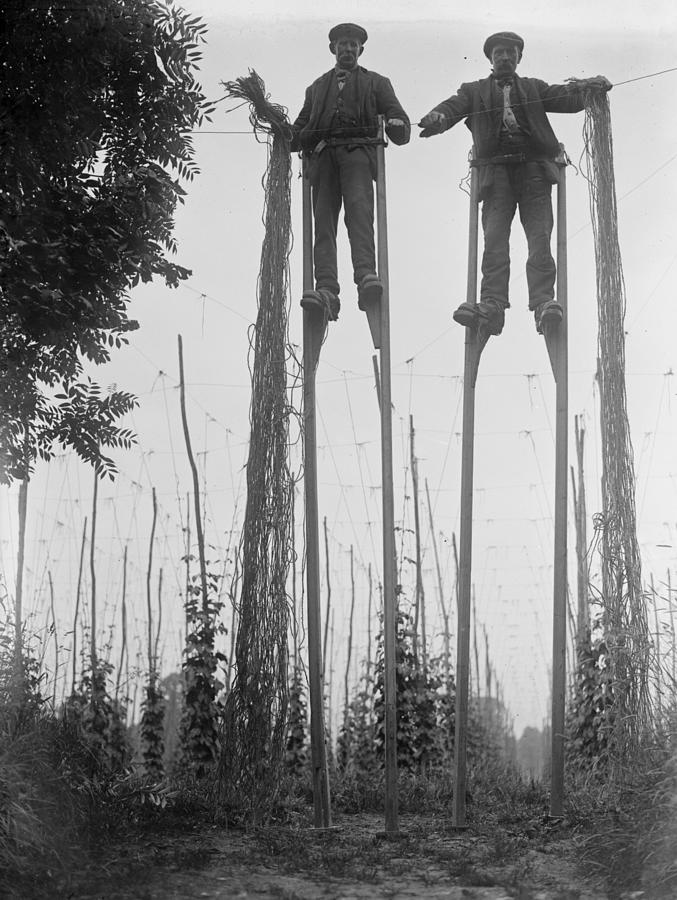 Stilt Walkers Photograph by Fox Photos