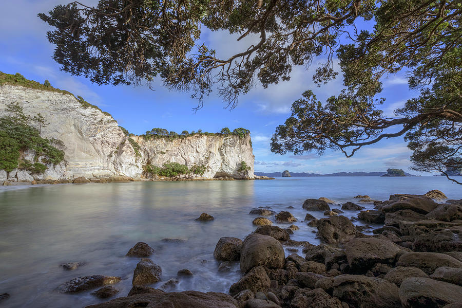 Stingray Bay - New Zealand Photograph by Joana Kruse