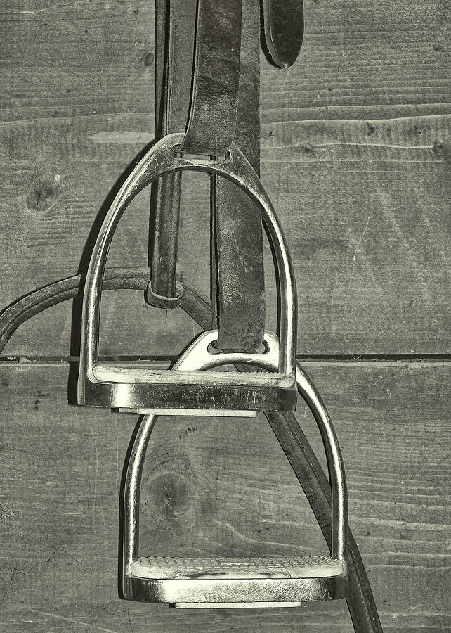 Stirrup Irons Photograph by Dressage Design