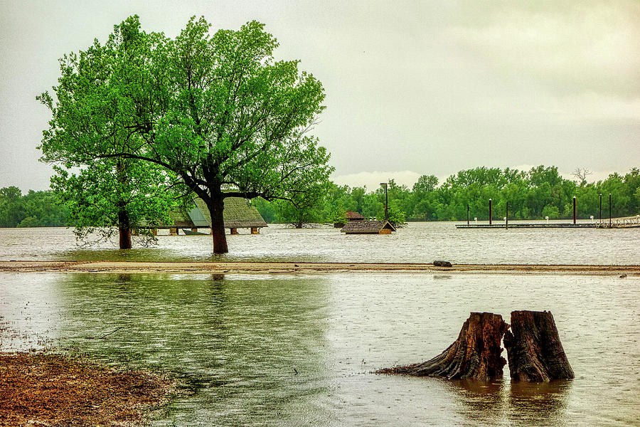 STL Flood Study 3 Photograph by Robert Meyers-Lussier