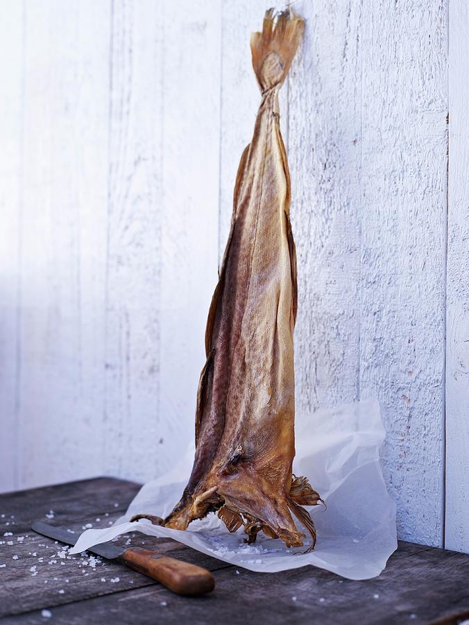 Stock Fish On Parchment Paper Photograph by Oliver Brachat