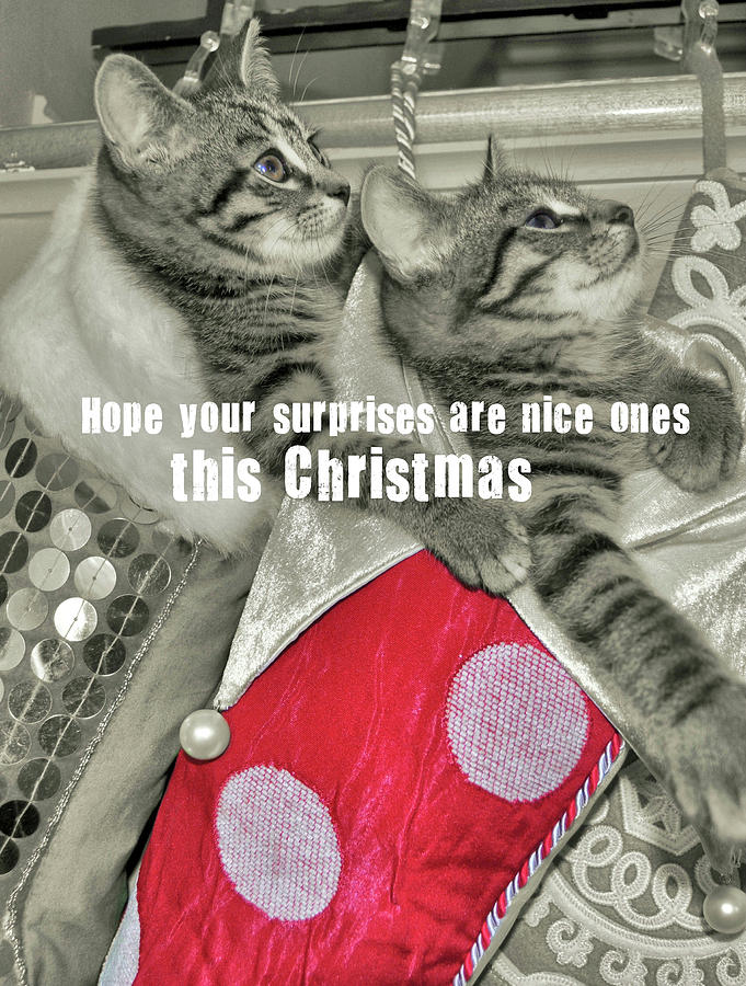 STOCKING STUFFERS quote Photograph by JAMART Photography