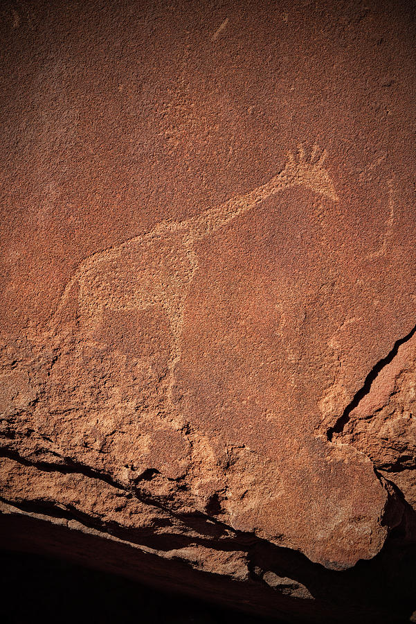 Stone Age Carving Of A Giraffe, Twyfelfontein, Damaraland, Namibia, Africa, Unesco World Heritage Site Photograph by Gnther Bayerl