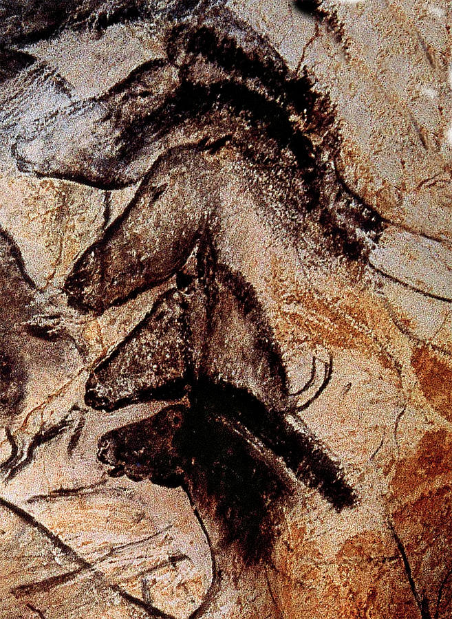 Stone-age Cave Paintings, Chauvet, France  Photograph by Doc Braham