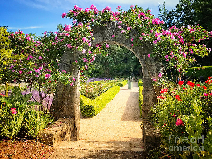 Stone Archway into the Rose Garden Photograph by Maria Janicki