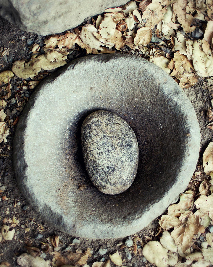 Stone Bowl Photograph by Lupen Grainne
