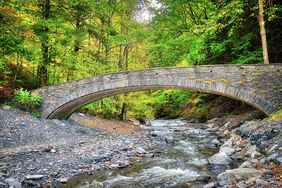 Stone Bridge in Fillmore Glen State Park - Finger Lakes, New York Photograph by Lynn Bauer