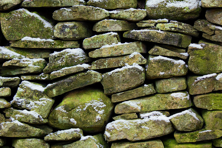 Stone Fence Photograph by Michael Gadomski