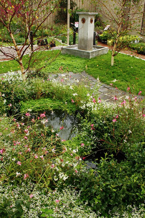Stone Fountain And Small, Densely Planted Pond Next To Garden Path Photograph by Great Stock!