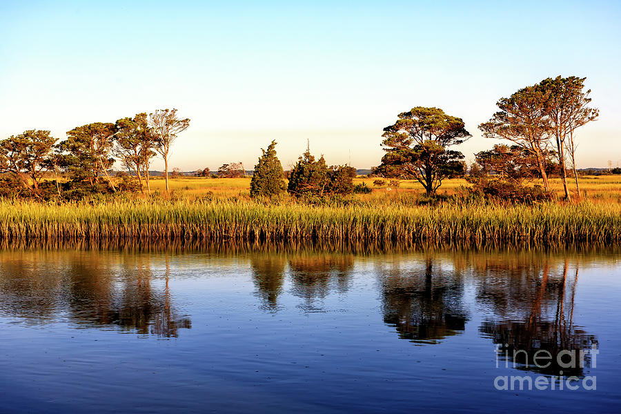 Stone Harbor Reflections in New Jersey Photograph by John Rizzuto